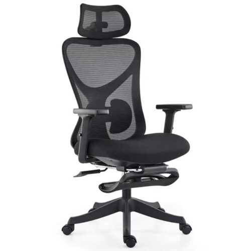 Ghế Lưới Công Thái Học FMX822C
