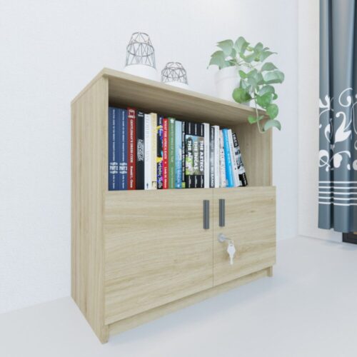 Tủ hồ sơ TU8075-2BT - nội thất giá xưởng Cần Thơ, thiết kế theo yêu cầu